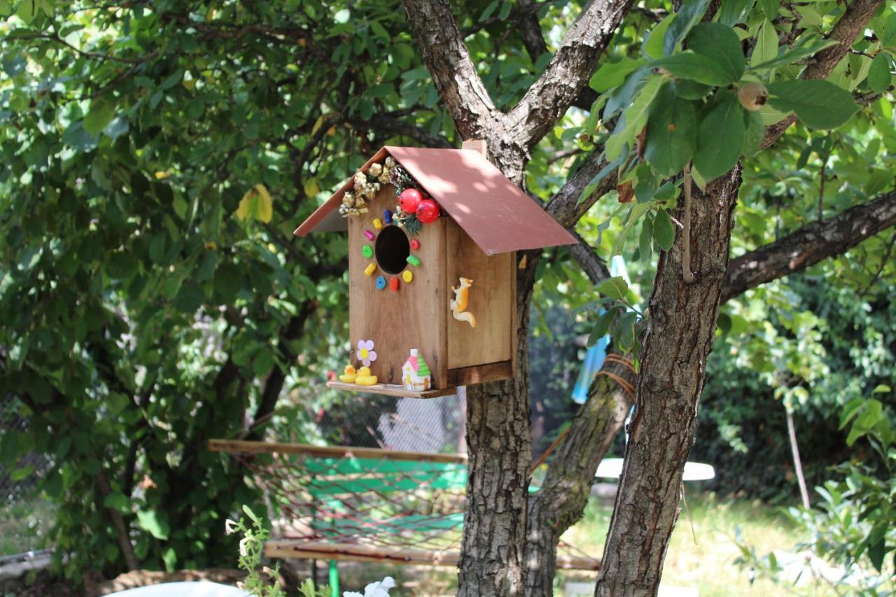 Guest House Poligloti Telavi Exterior photo